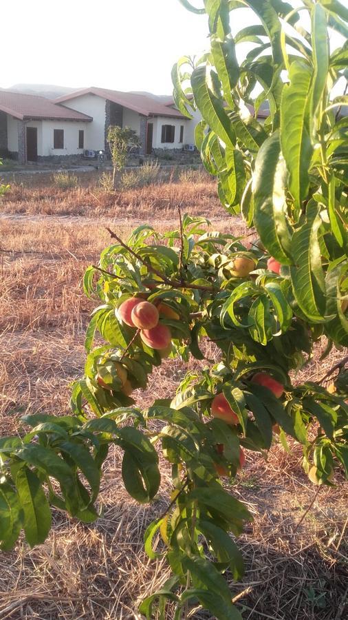 Agriturismo Gennemara B&B Perdaxius Екстер'єр фото